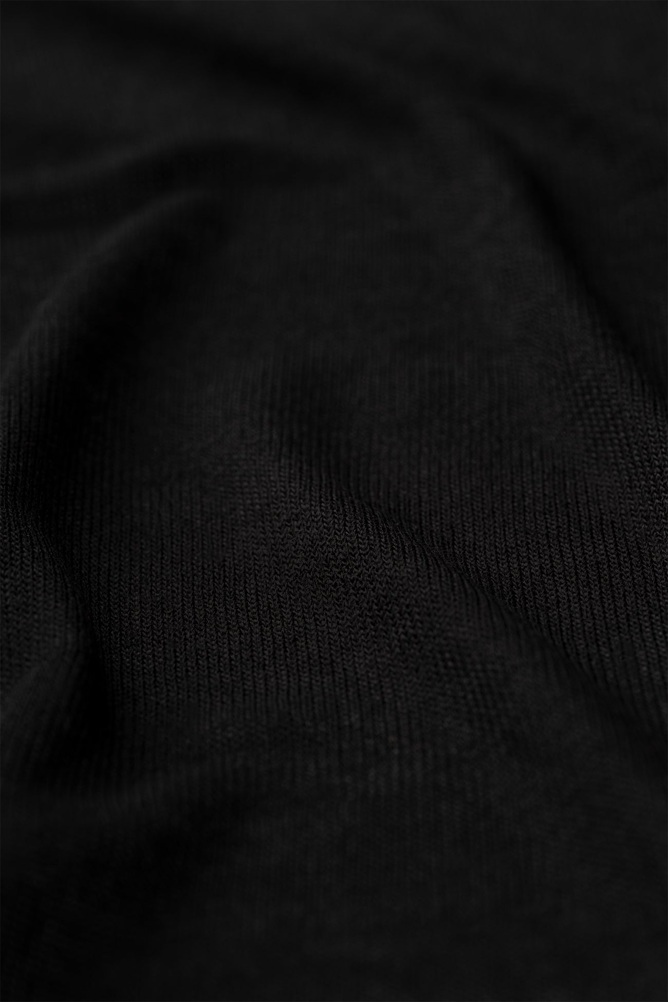 Alicia Sheer Turtleneck